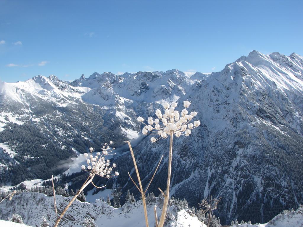 Oberstdorfer Bergwelt 213 Apartman Kültér fotó
